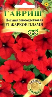 00010208_Петуния Жаркое пламя (Гавриш) 1_1000