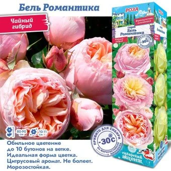 mkhveez8fmh951ityofasb233uffi2d3