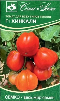 Снимок экрана 2024-11-05 130452