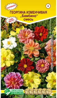 1qfdp0wvnv0pygf54q9phjw6zeo4kt4t