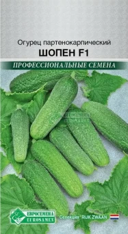 00041626_Огурец Шопен F1 5 шт Голландия Rijk Zwaan (Евросемена)