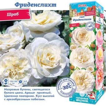 5rebxj6pmudnorfnegcgkygv1pp5azes