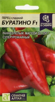 Снимок экрана 2025-11-13 134755