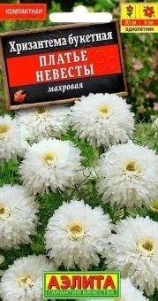 00012441_Хризантема Платье невесты махровая (Аэлит