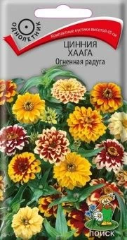 00041156_Цинния Хаага Огненная радуга 0,3гр (ПОИСК