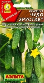 00012288_Огурец Чудо Хрустик (Аэлита)