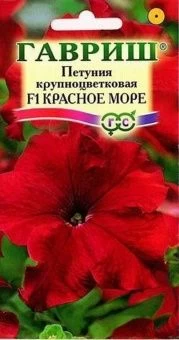 00007954_Петуния Красное море крупноцветковая (Гав
