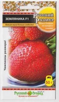 00004336_Земляника Русский размер (НК)