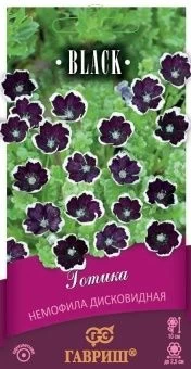 00010603_Немофила Готика серия Блэк (Гавриш) 1_600