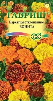 00025352_Бархатцы Бонита отклоненные (Гавриш)