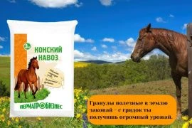 Конский навоз — “черное золото” для огорода и сада