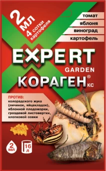 Снимок