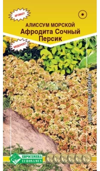 doqthx07bxwv2sa8at1b67t80hftwuv4