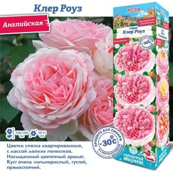 ul316iug4h5xvbcqqw52ws8zuxpet4iv