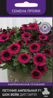 00029415_Петуния Шок Вейв Дип парпл ампельная 5шт 