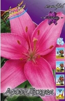 00027510_Лилия Ароза Джуел АГ 5шт (КолорЛайн)