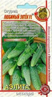 00002041_Огурец Любимый Зятек (Аэлита)