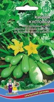 00040217_Кабачок Кустовой (УД)