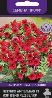 00029413_Петуния Изи Вейв Ред Велюр ампельная 5шт 