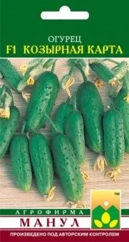 00013731_Огурец Козырная Карта (Манул)