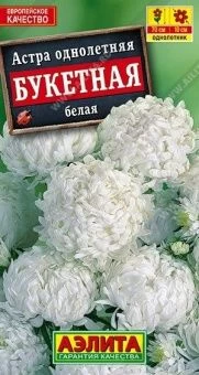 00014356_Астра Букетная белая (Аэлита)