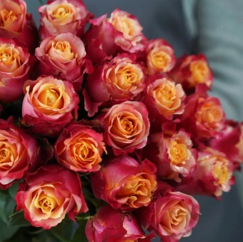 Снимок экрана 2025-10-21 110522