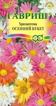 00006970_Хризантема индийская Осенний букет (Гаври