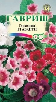 Глоксиния Аванти смесь (Гавриш) 1/1000