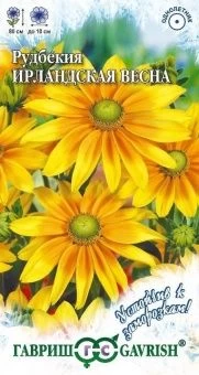 00007175_Рудбекия Ирландская весна серия Устойчив 