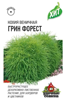 00024187_Кохия Грин Форест (Гавриш) МЕТАЛЛ