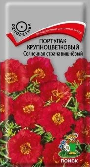 00041130_Портулак Солнечная страна вишнёвый крупно