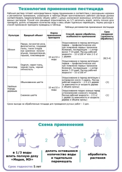 Снимок
