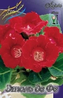 00036214_Глоксиния  Этоль де Фе 3шт (КолорЛайн)