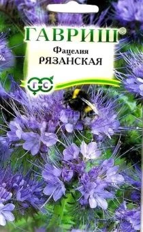 00010580_Фацелия Рязанская 20г (Гавриш)