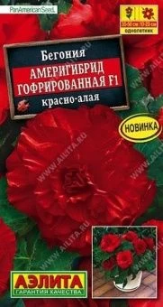 00033794_Бегония Америгибрид гофрированная F1 крас