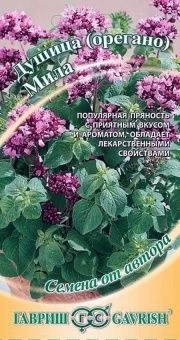00013668_Душица Мила (орегано) (Гавриш) 1_1000