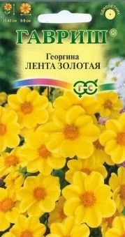 00008321_Георгина Лента золотая (Гавриш)