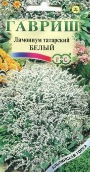00012565_Лимониум татарский Белый (Гавриш) 11200