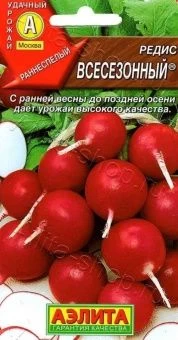 00022463_Редис Всесезонный (Аэлита)