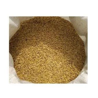 00033712_Рожь 30кг (ПАБ)