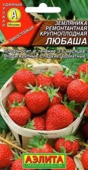 00022203_Земляника Любаша ремонтантная крупноплодн