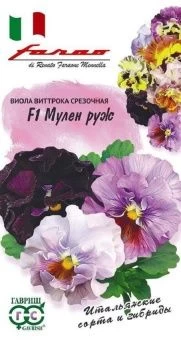 00019362_Виола Мулен руж съедобная срезочная (Гавр