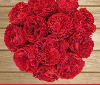 m1mxjduiyw13oaybu6ypkhw0yvliy1j8