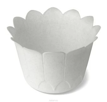 00003569_Ромашка кашпо d15см h10,2 см С81 1_50 Мар