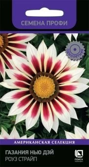 00041063_Газания Нью Дэй Роуз Страйп Семена Профи 10шт (ПОИСК)