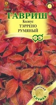00040895_Колеус Тэррено румяный 5 шт (Гавриш)
