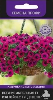 00029411_Петуния Изи Вейв Бургунди Велюр ампельная