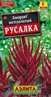 00010826_Амарант Русалка темнолистный (Аэлита)