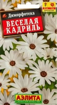 00035543_Диморфотека Веселая кадриль (Аэлита)