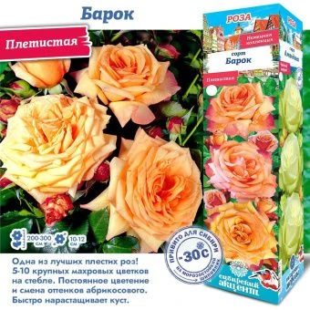 uzd4s6vtda07fvbzhb1crivy1ilx7mem